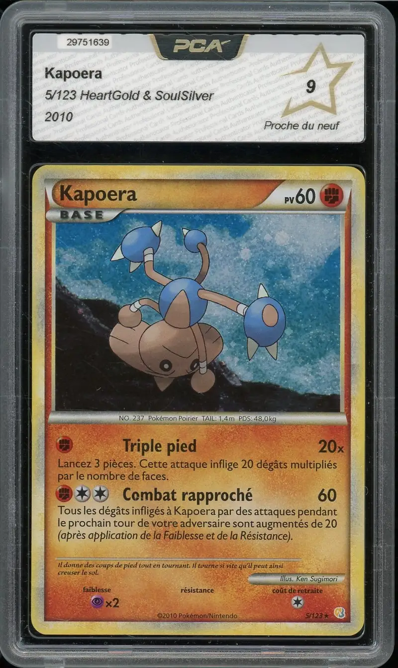 PCA 9 Kapoera Holo