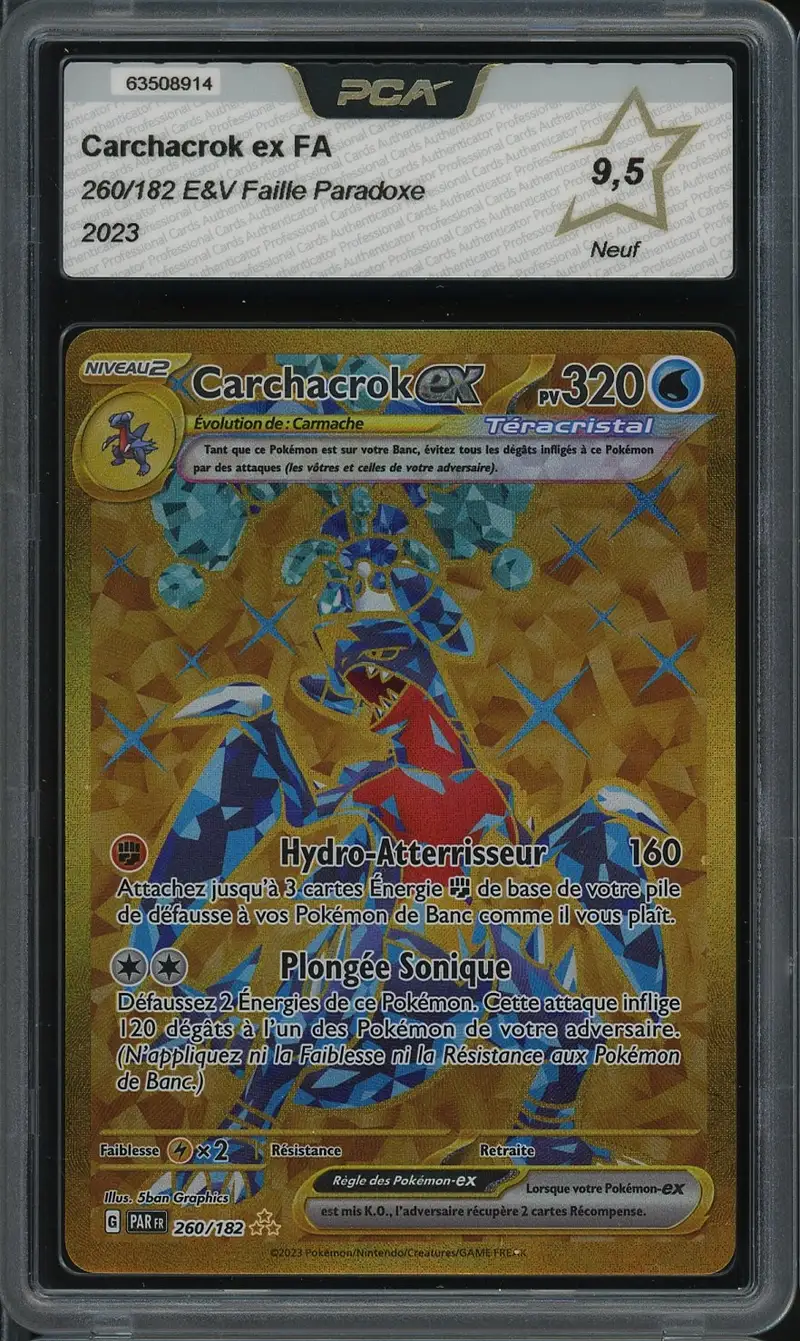 PCA 9.5 Carchacrok Ex Gold