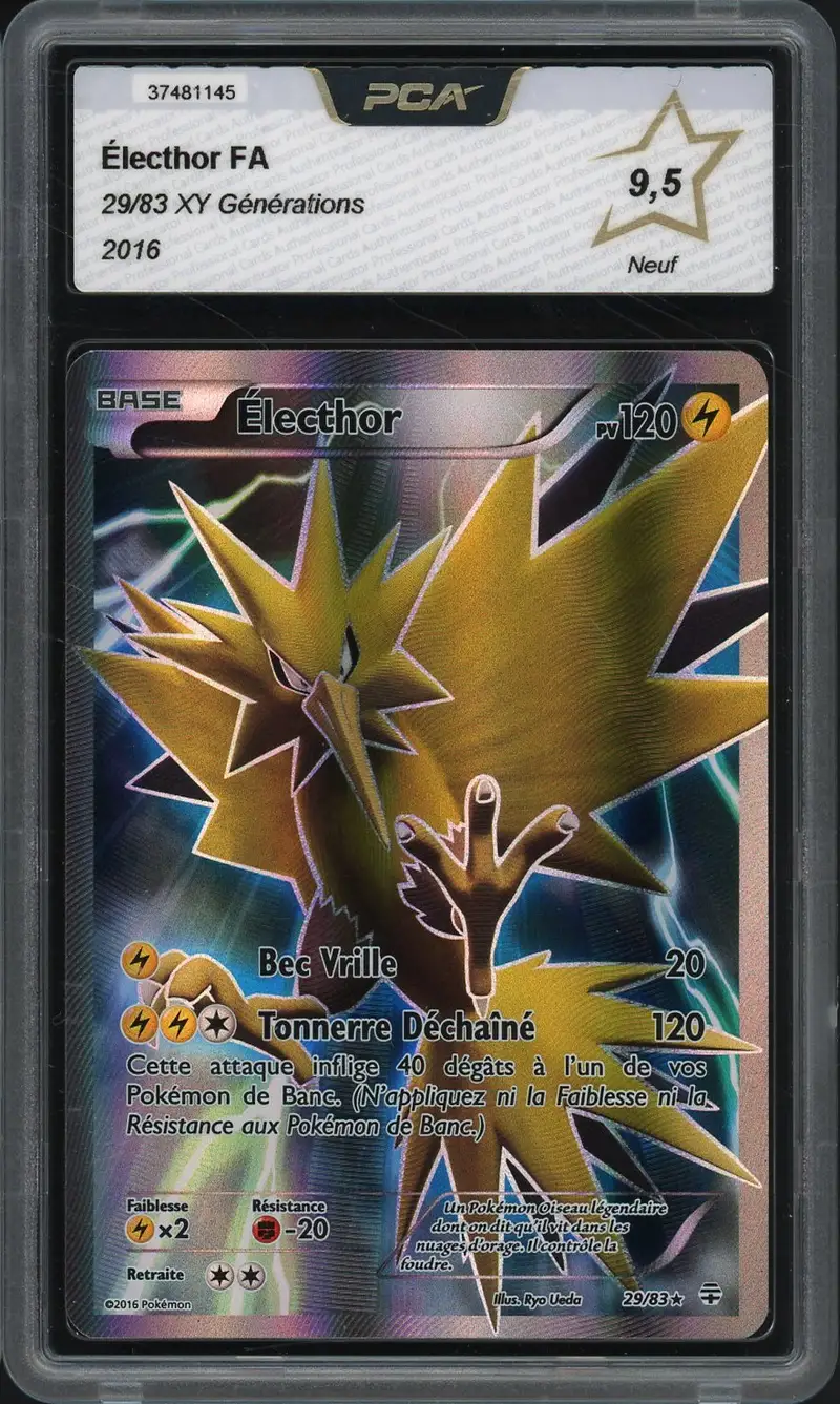 PCA 9.5 Electhor