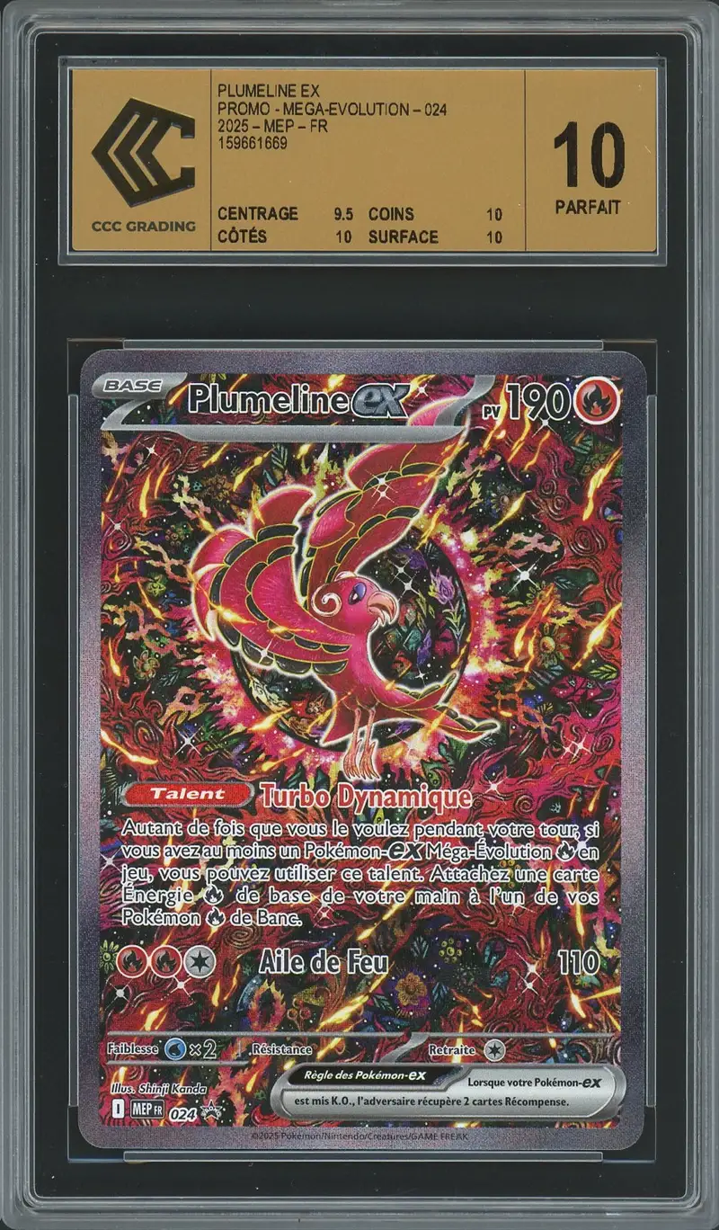 CCC 10 Plumeline Ex