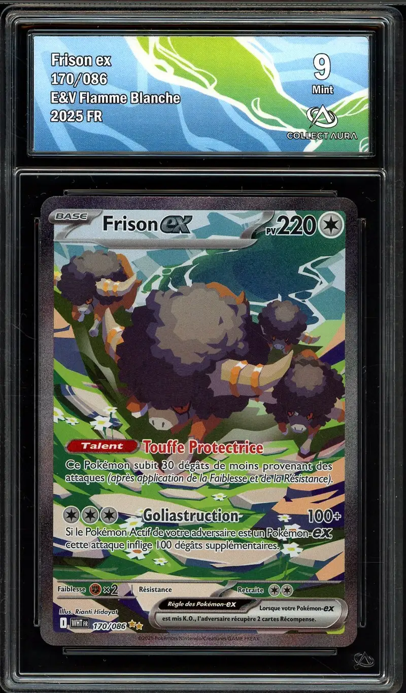 CA 9 Frison Ex
