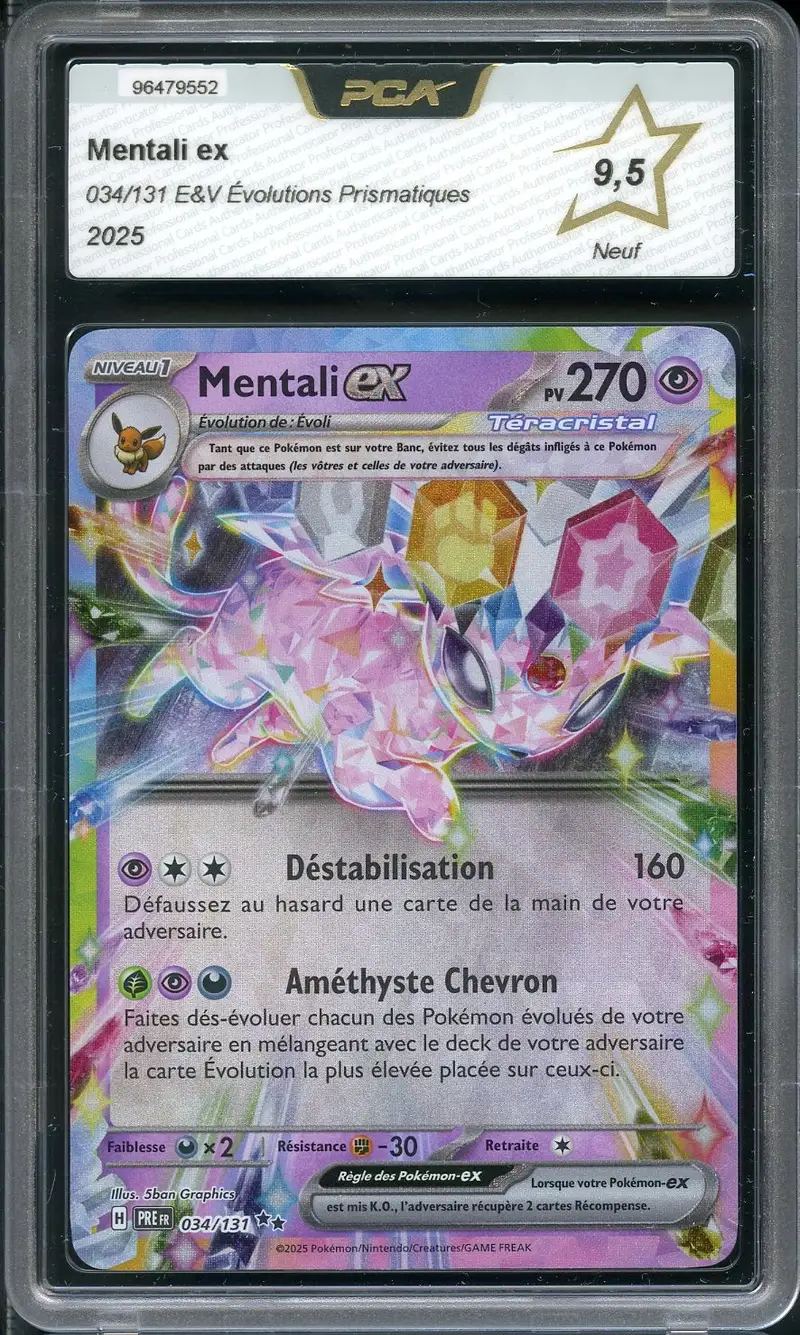 PCA 9.5 Mentali Ex