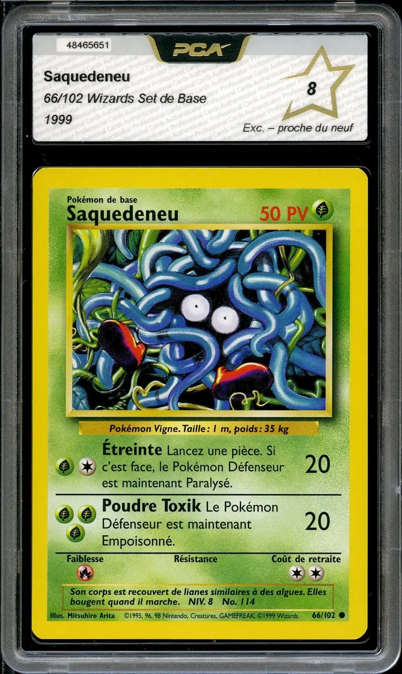 PCA 8 Saquedeneu