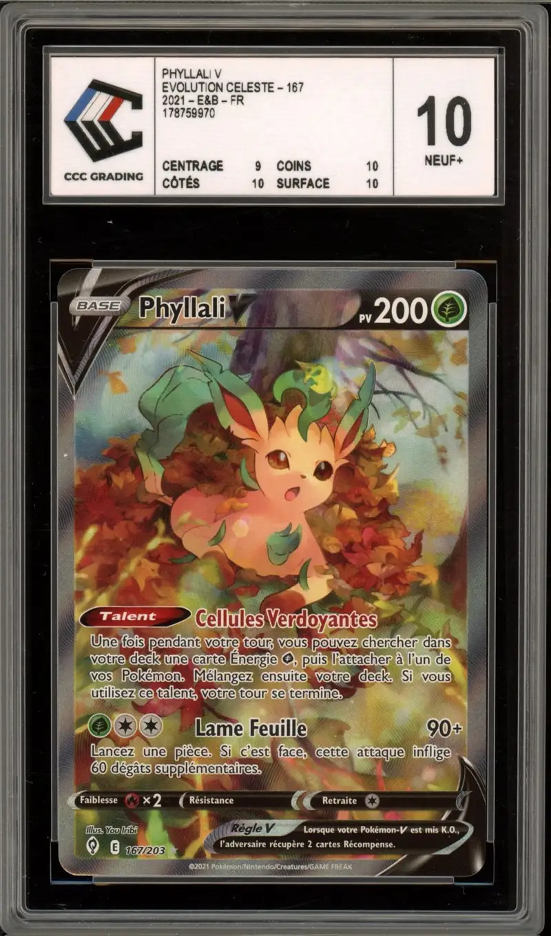 CCC 10 Phyllali V