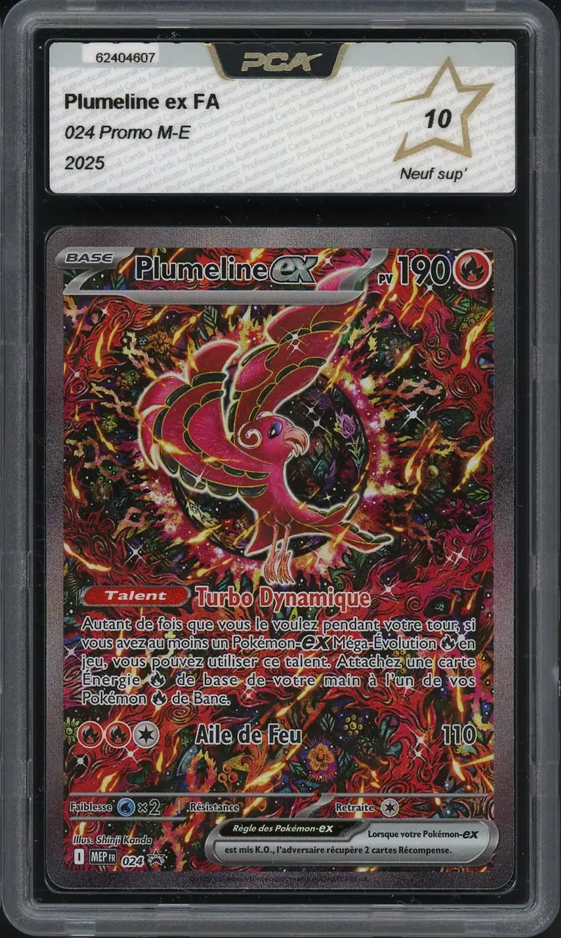 PCA 10 Plumeline Ex