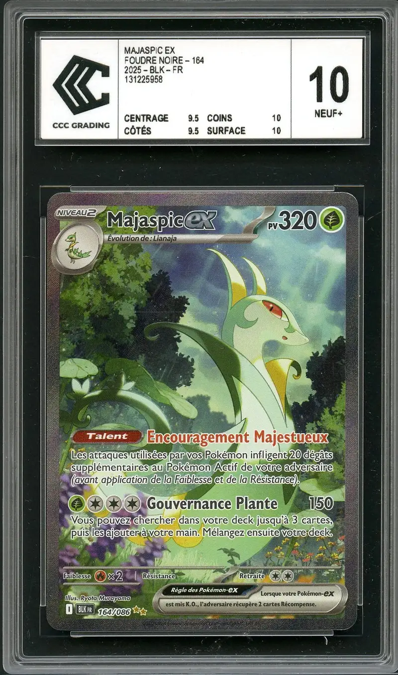 CCC 10 Majaspic Ex