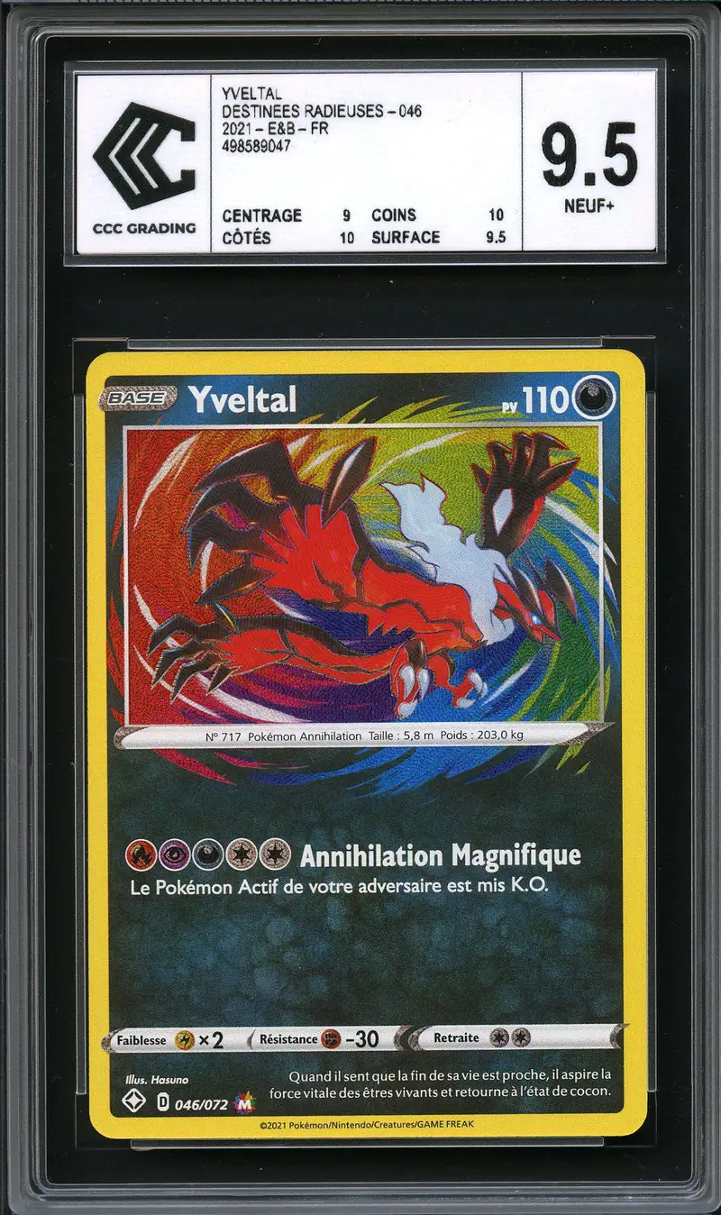 CCC 9.5 Yveltal Holo