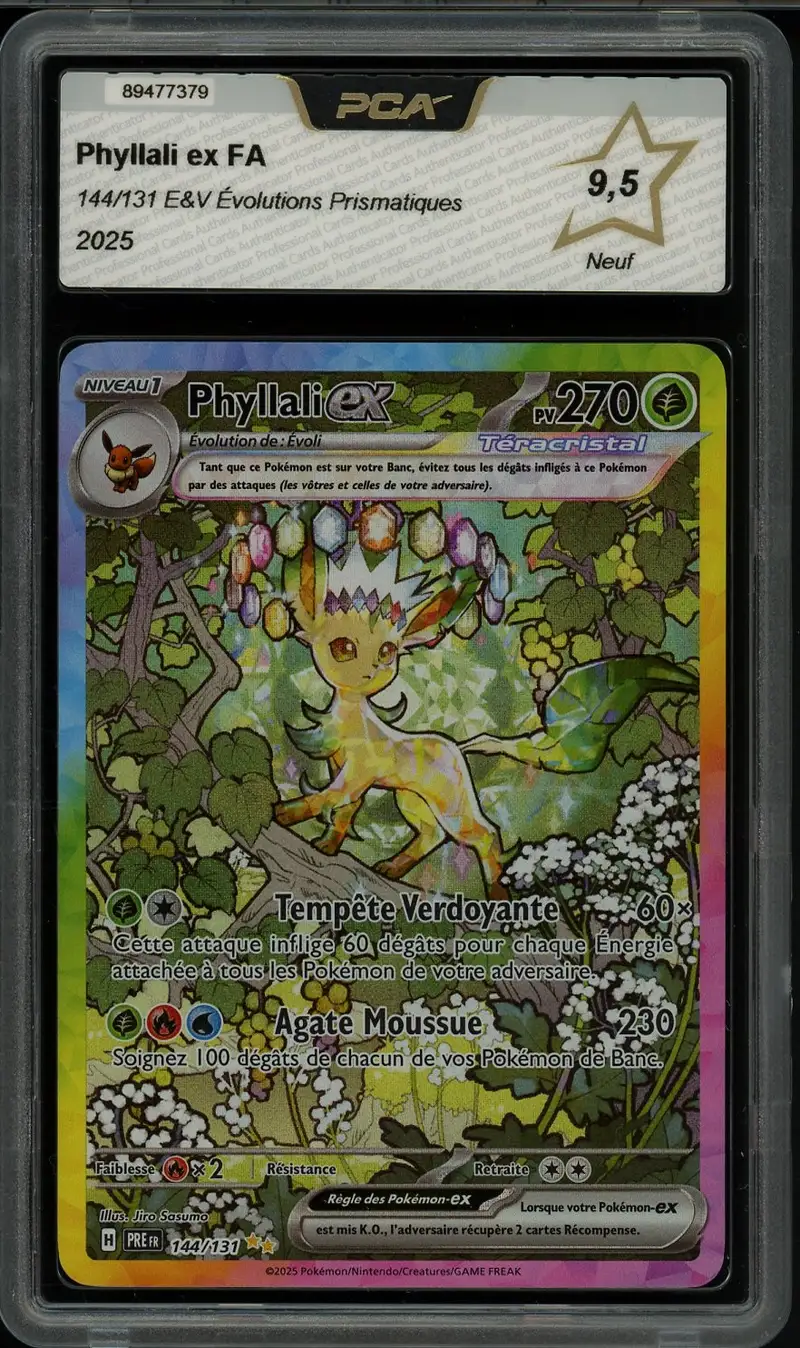 PCA 9.5 Phyllali Ex