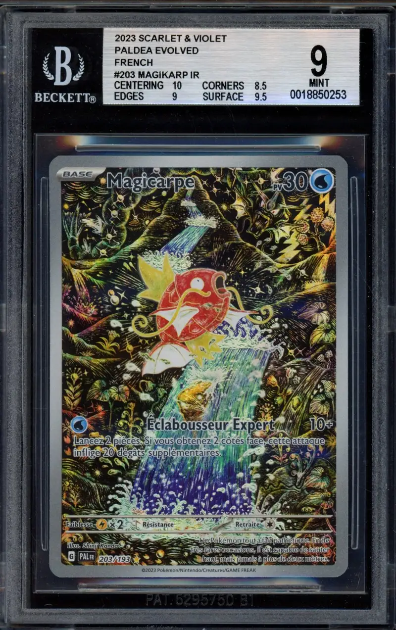 BGS 9 Magicarpe