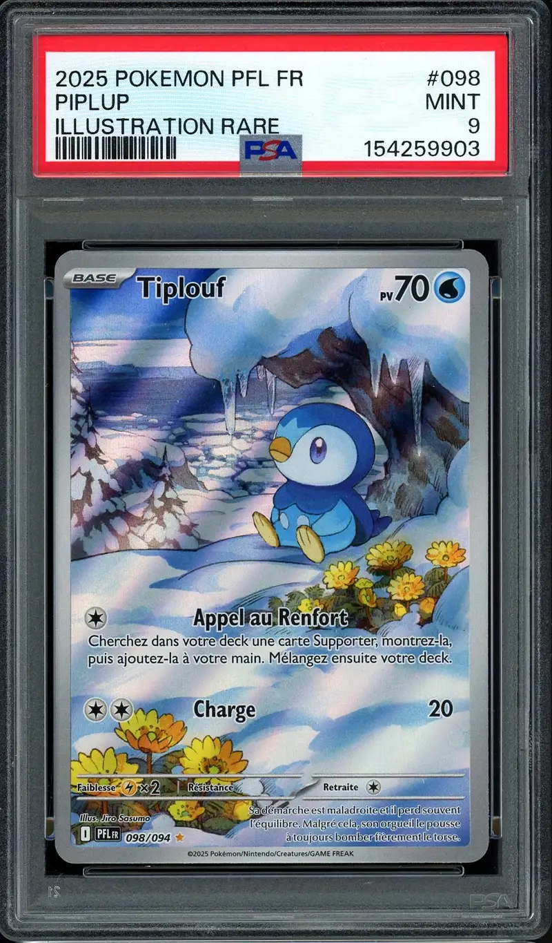 PSA 9 Tiplouf