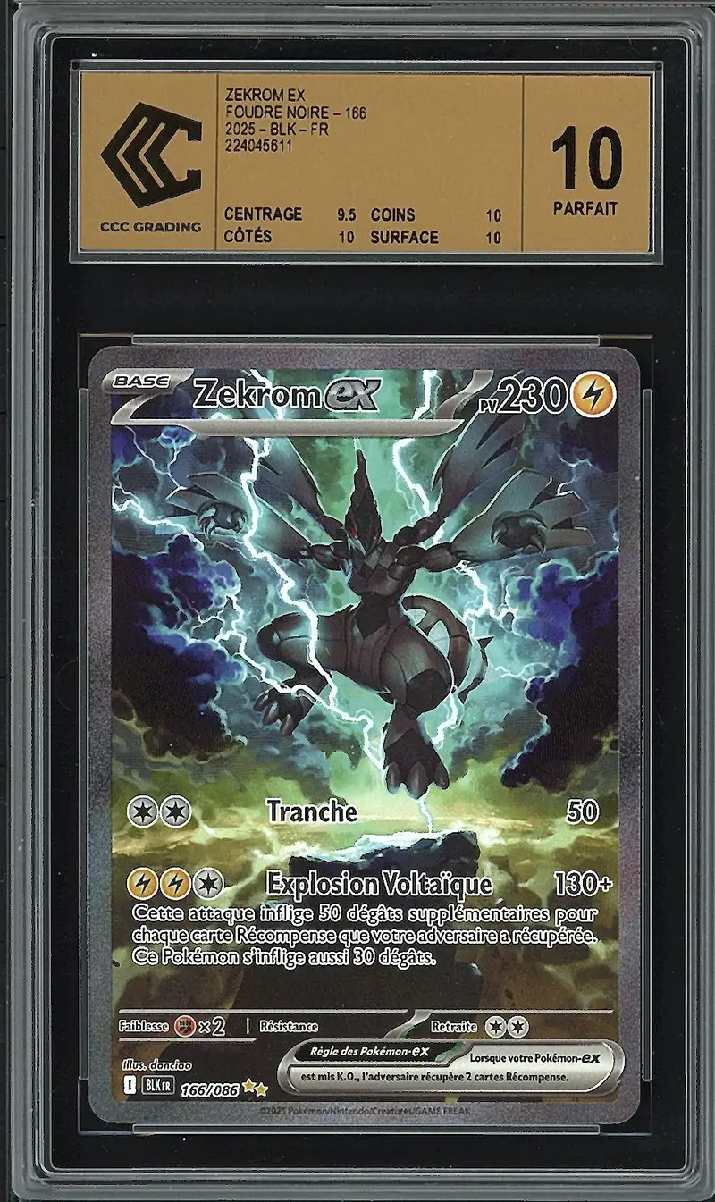 CCC 10 Zekrom Ex