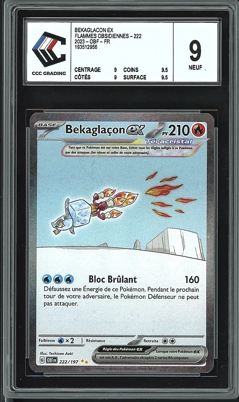 CCC 9 Bekaglaçon Ex