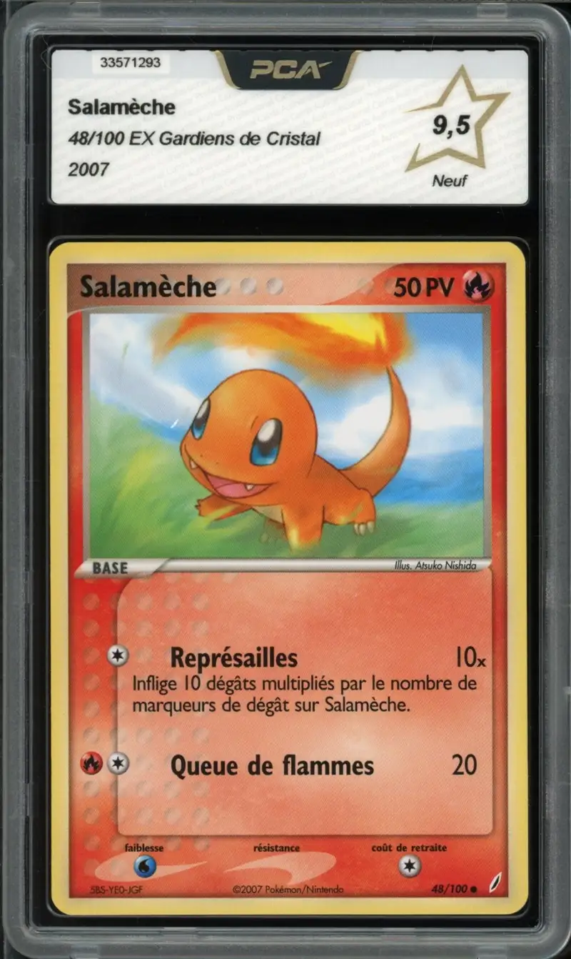PCA 9.5 Salamèche