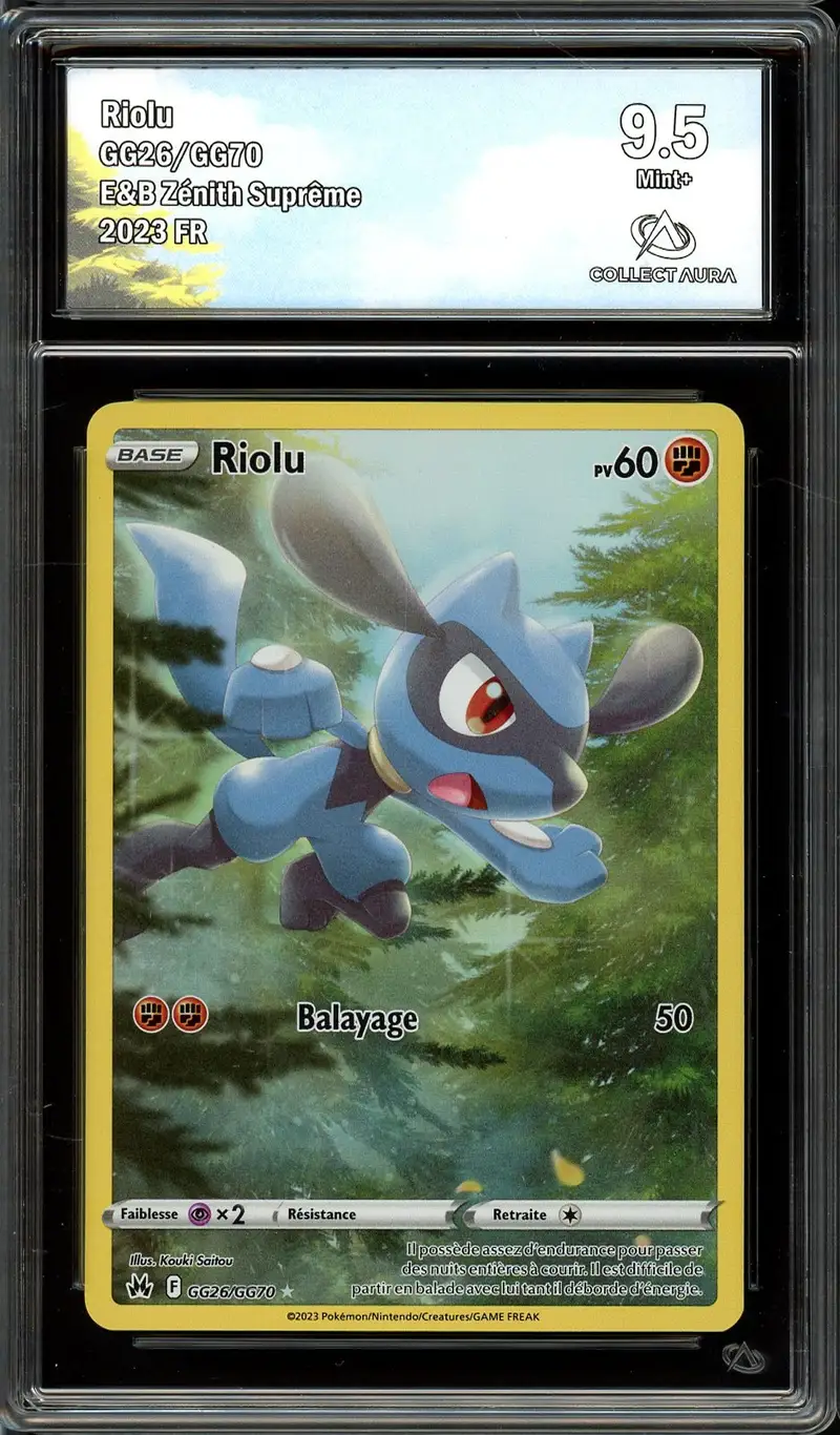CA 9.5 Riolu