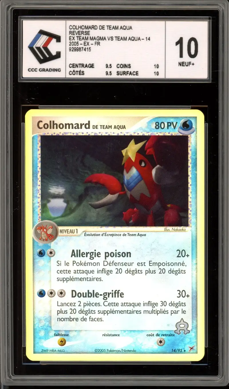 CCC 10 Colhomard de Team Aqua Reverse