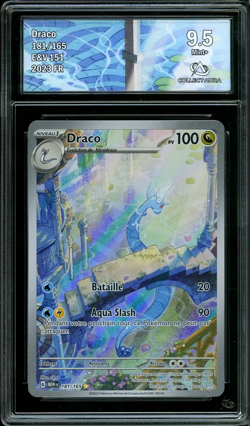 CA 9.5 Draco