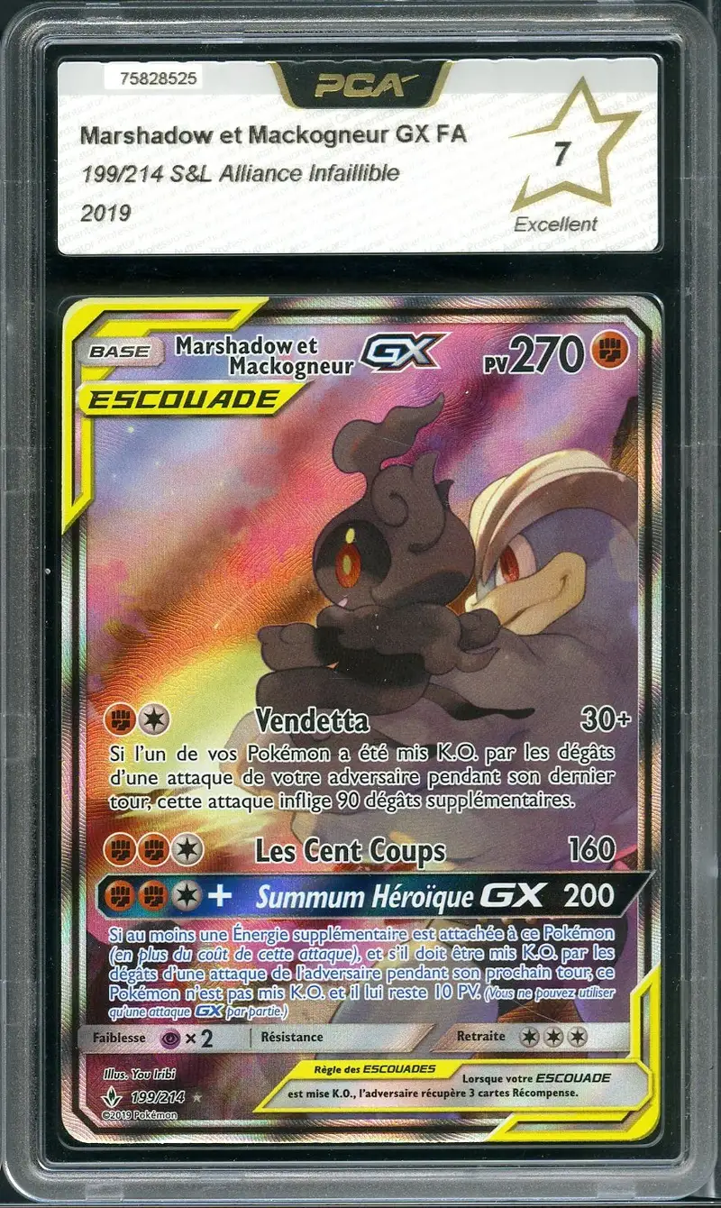 PCA 7 Marshadow et Mackogneur Gx