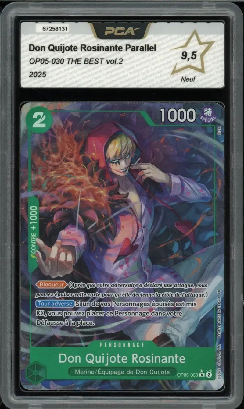 PCA 9.5 Don Quijote Rosinante