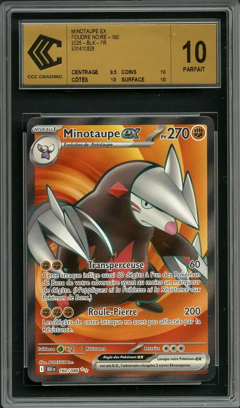 CCC 10 Minotaupe Ex