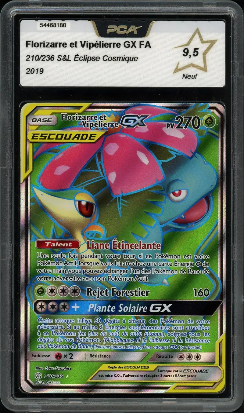 PCA 9.5 Florizarre et Vipélierre Gx