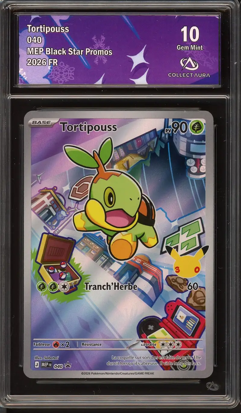 CA 10 Tortipouss