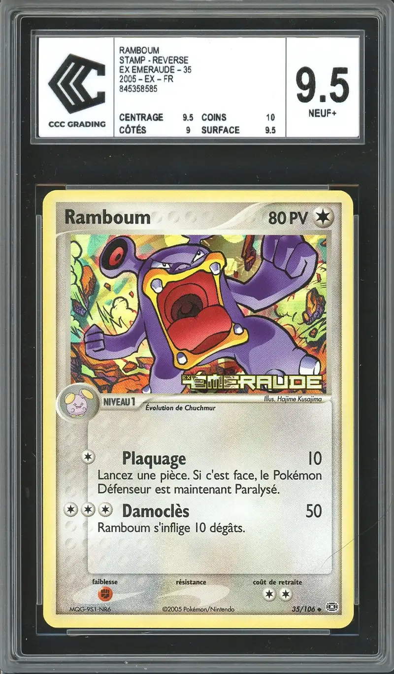 CCC 9.5 Ramboum Reverse