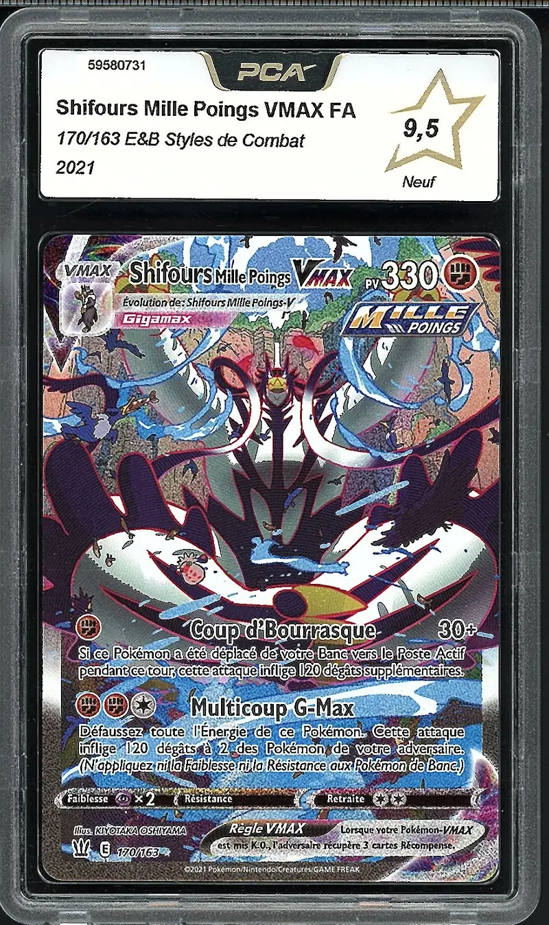 PCA 9.5 Shifours Mille Poings VMax