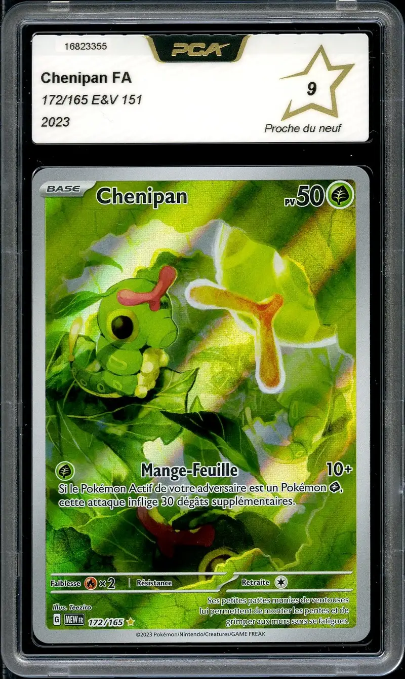PCA 9 Chenipan