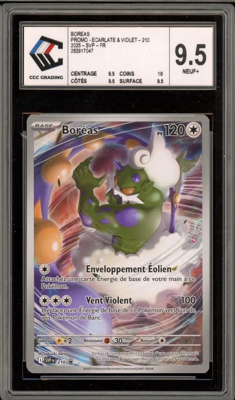 CCC 9.5 Boréas