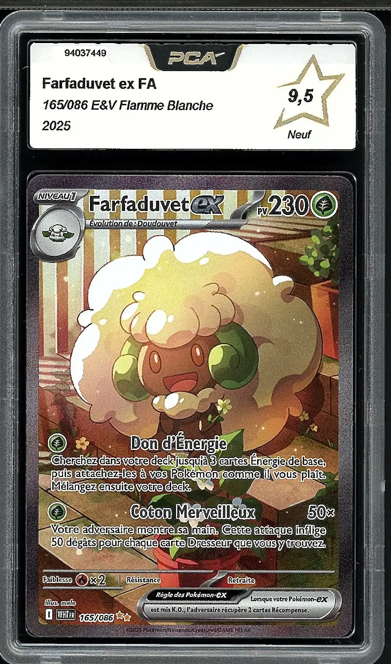 PCA 9.5 Farfaduvet Ex