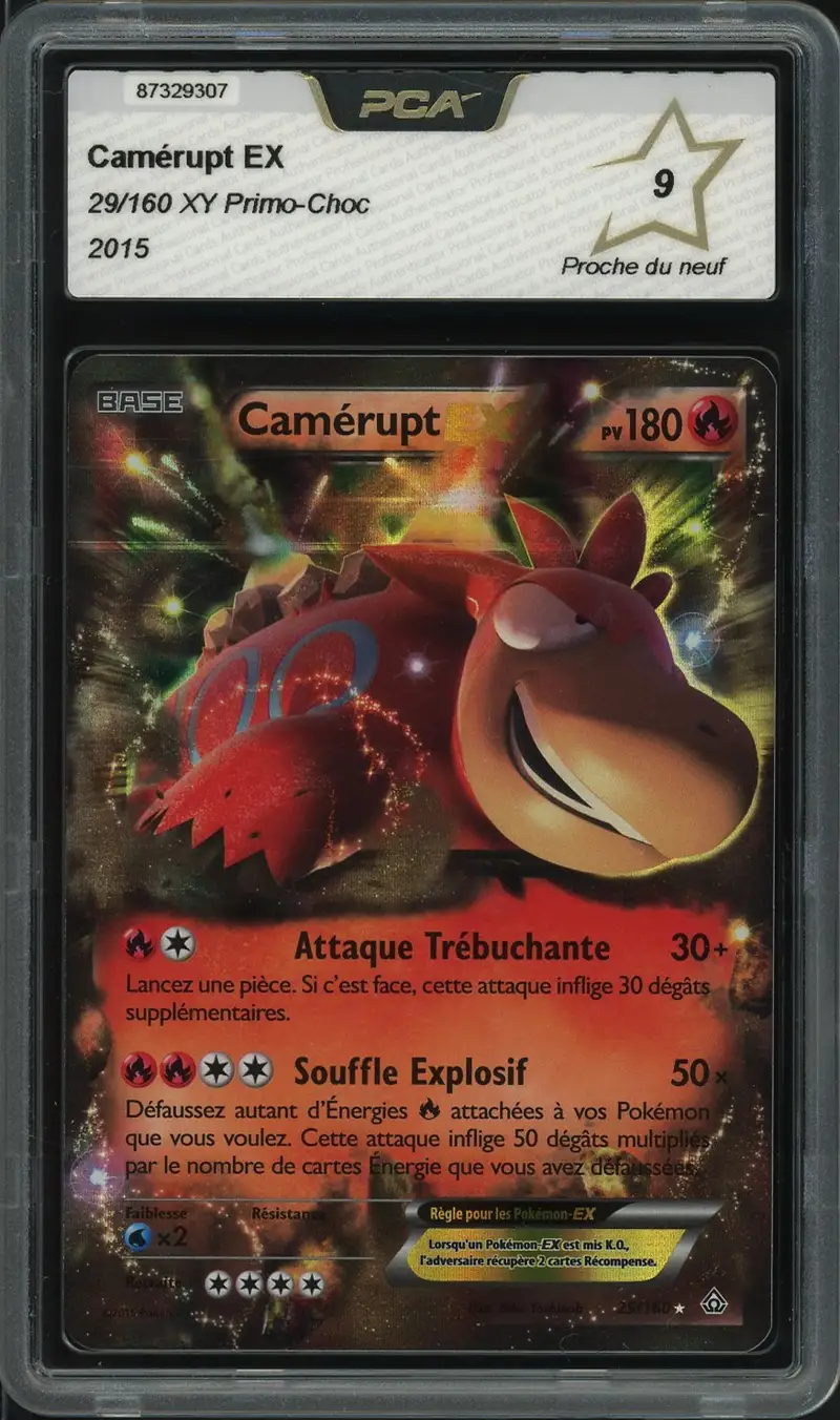 PCA 9 Camérupt Ex