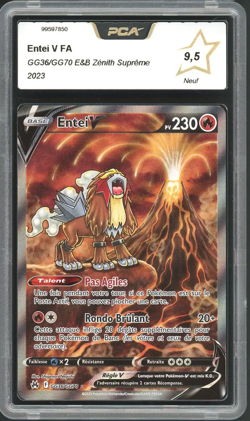 PCA 9.5 Entei V