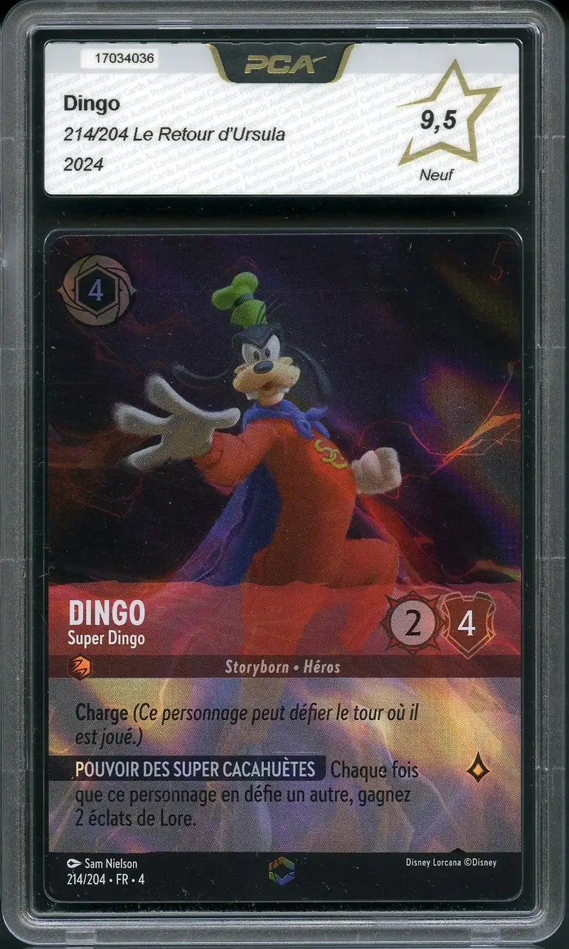 PCA 9.5 Dingo Enchantée