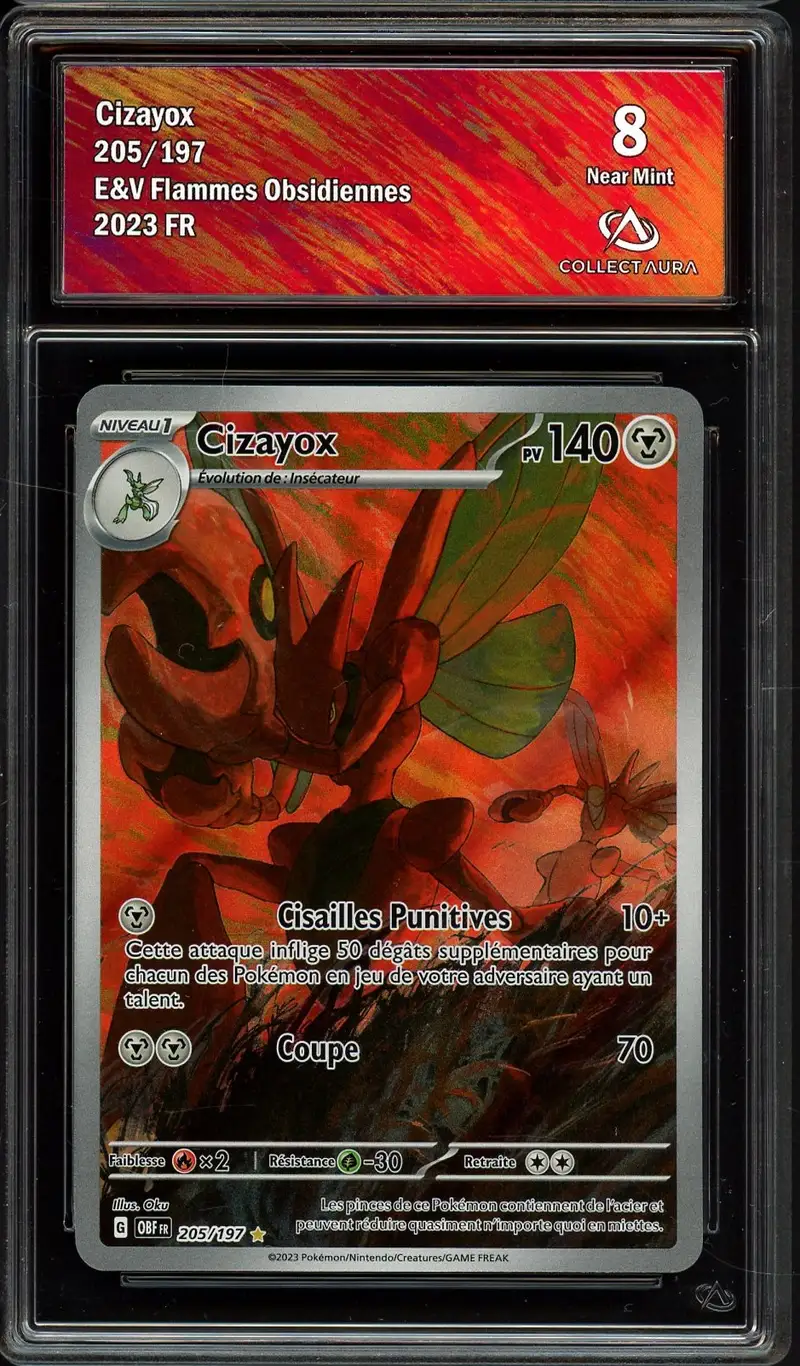 CA 8 Cizayox