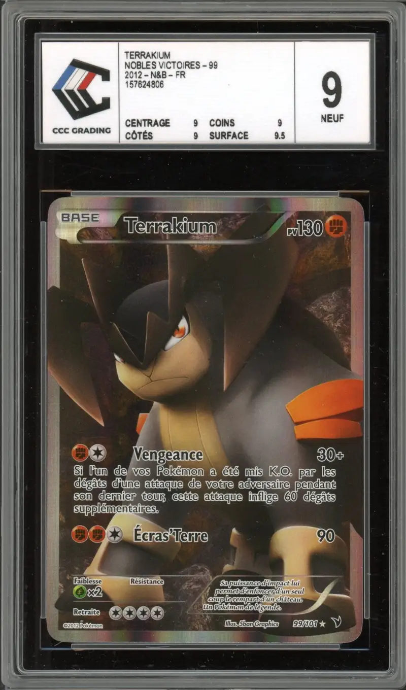 CCC 9 Terrakium