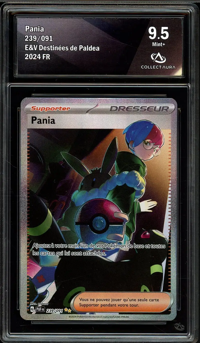 CA 9.5 Pania