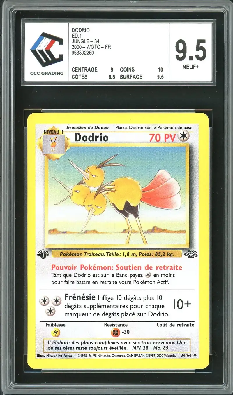 CCC 9.5 Dodrio