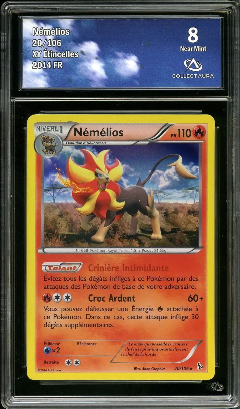 CA 8 Némélios Holo
