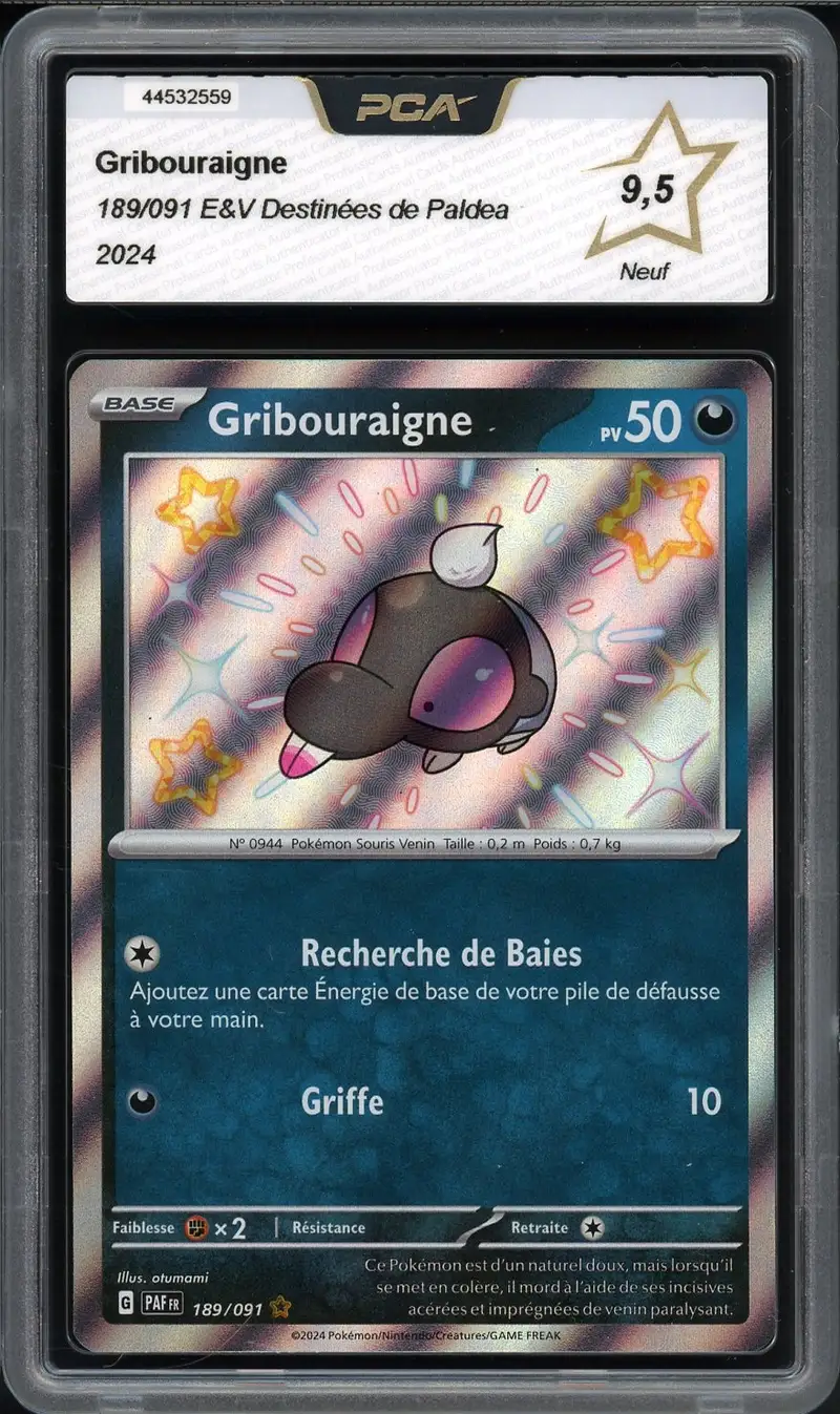 PCA 9.5 Gribouraigne Shiny