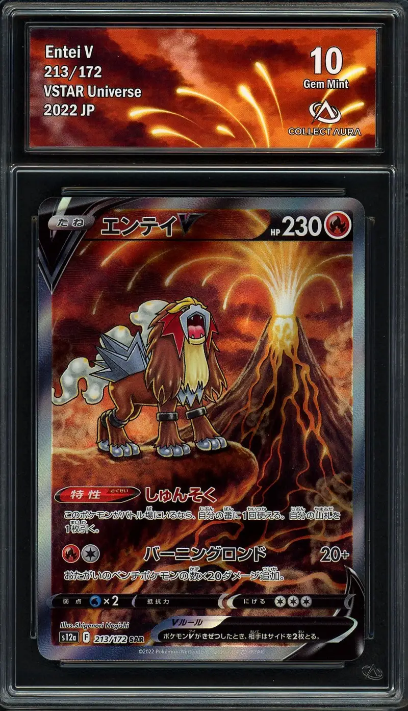 CA 10 Entei V