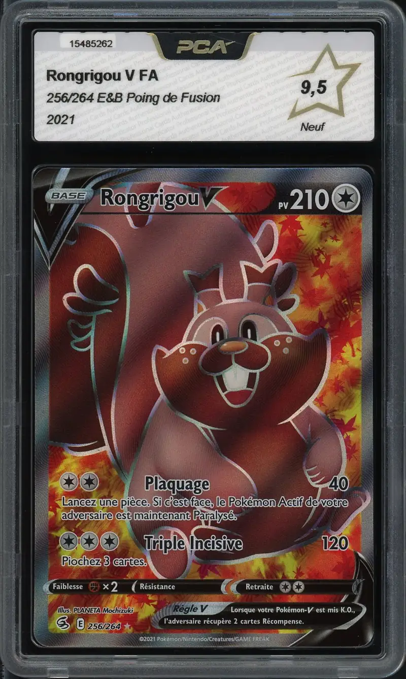 PCA 9.5 Rongrigou V