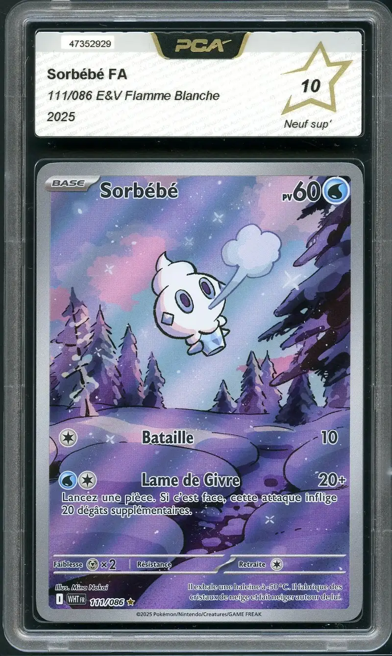 PCA 10 Sorbébé