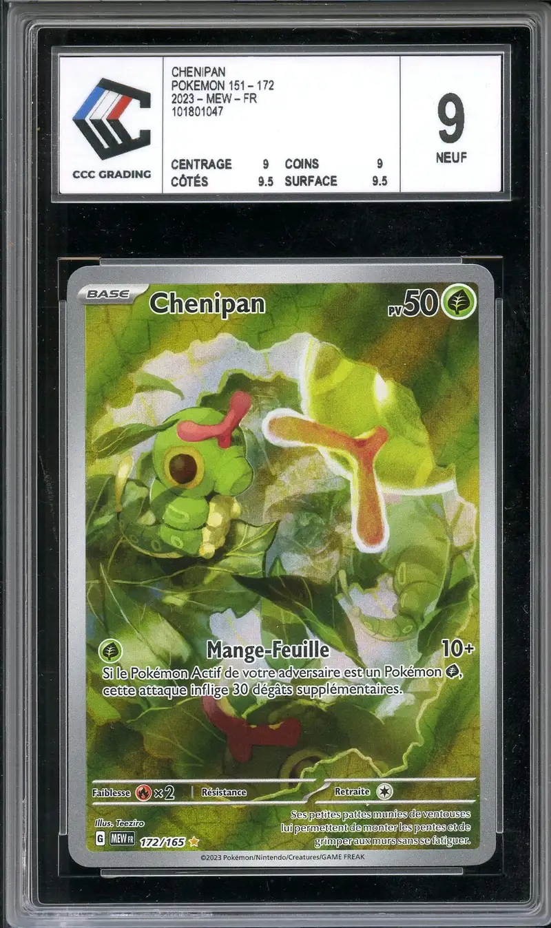 CCC 9 Chenipan