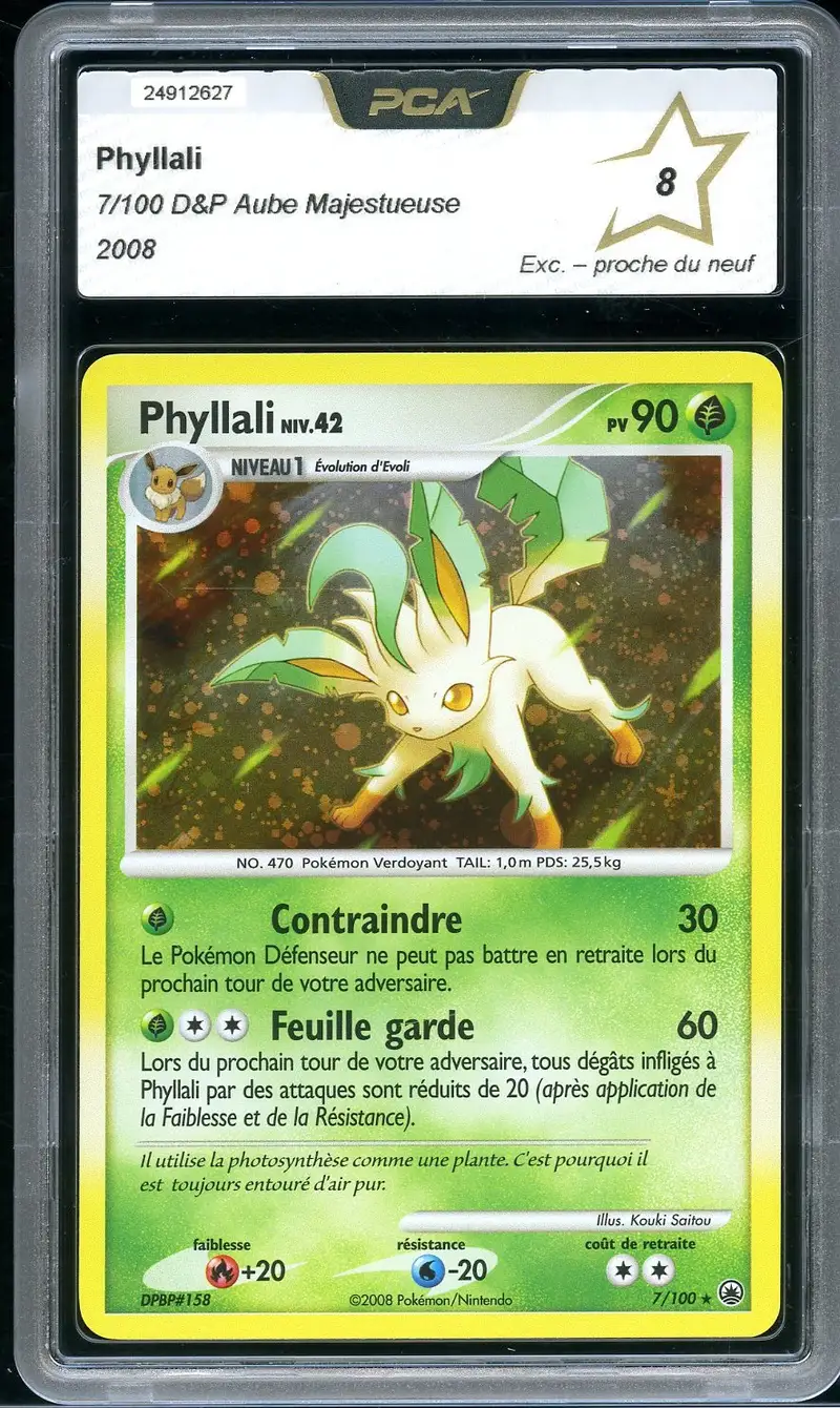 PCA 8 Phyllali Holo