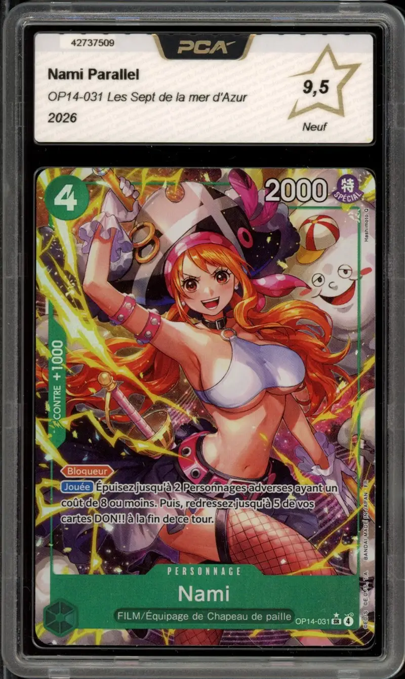PCA 9.5 Nami