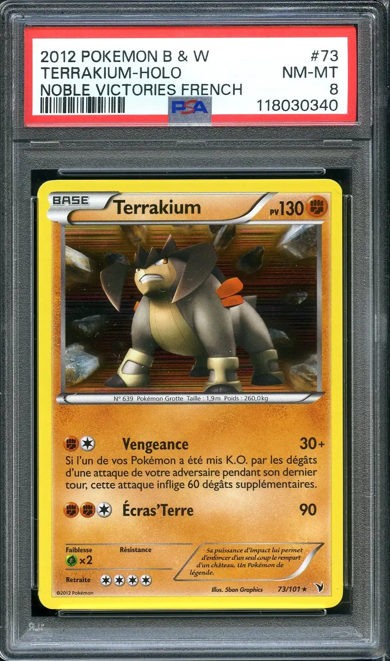 PSA 8 Terrakium Holo
