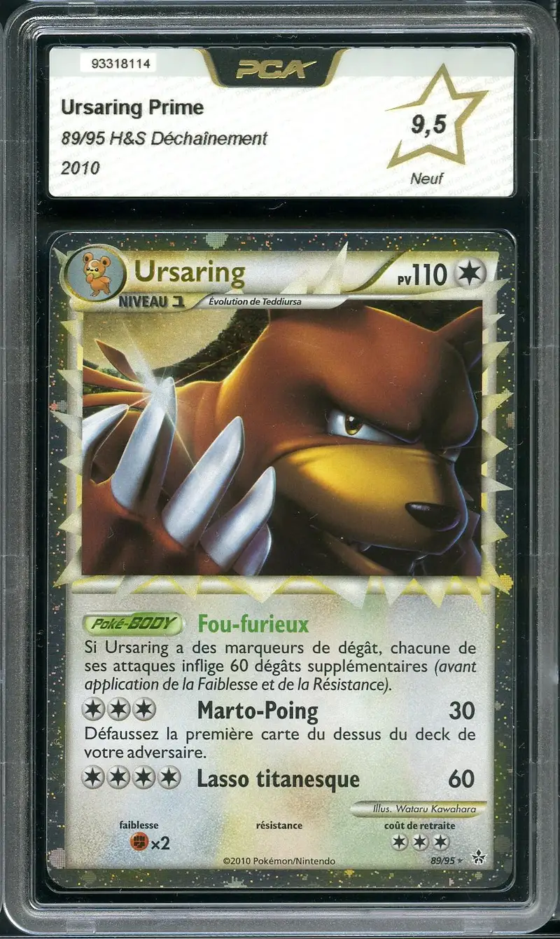 PCA 9.5 Ursaring Prime