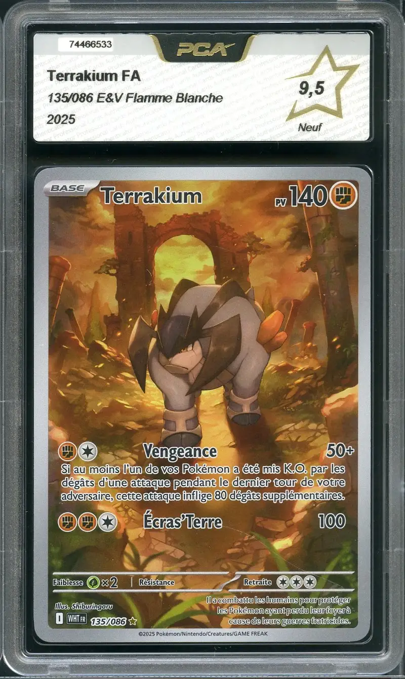 PCA 9.5 Terrakium