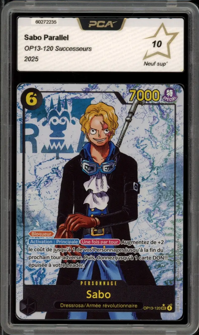 PCA 10 Sabo