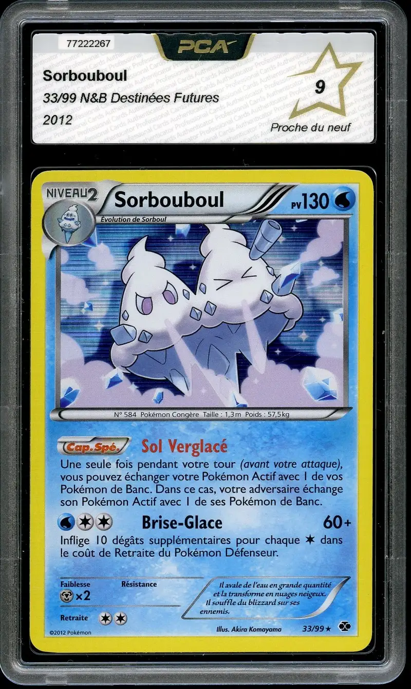 PCA 9 Sorbouboul Holo